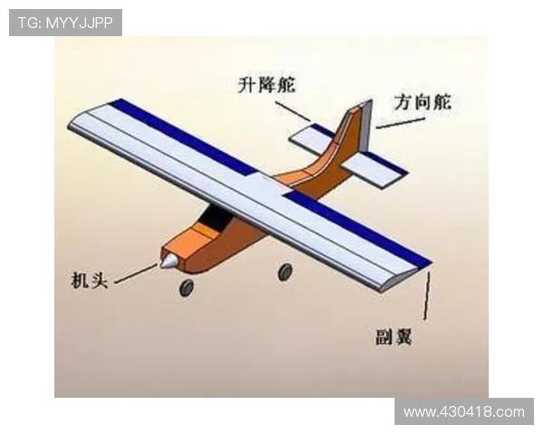 飞机方向舵在侧风起飞时的操纵量